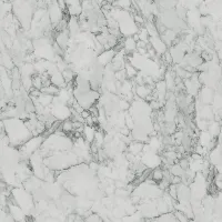 S63009 Marmor Carrara image